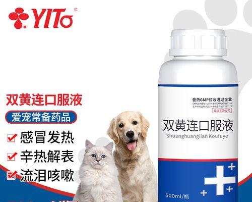 狗狗拉肚打喷嚏用药治疗全攻略｜实用指南