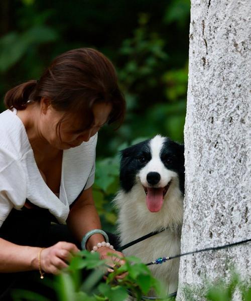 成都犬舍全攻略|探索宠物友好城市的养宠天堂(图2) 成都犬舍全攻略|探索宠物友好城市的养宠天堂(图2)