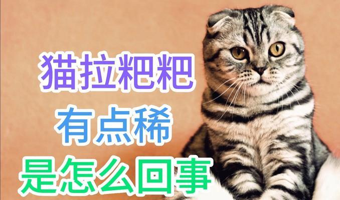 猫的粪便特征与健康指标｜养猫必备实用指南(图2)