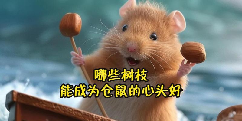 仓鼠磨牙重要性及工具选择指南｜宠物养护核心技巧