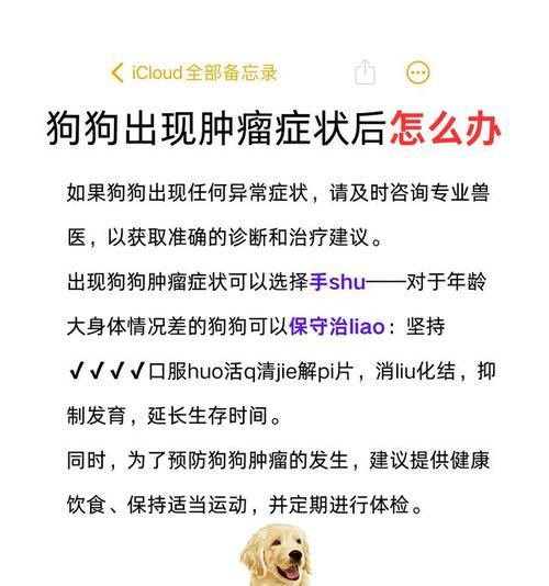狗狗肿瘤破了该抹什么药|实用指南(图3) 狗狗肿瘤破了该抹什么药|实用指南(图3)