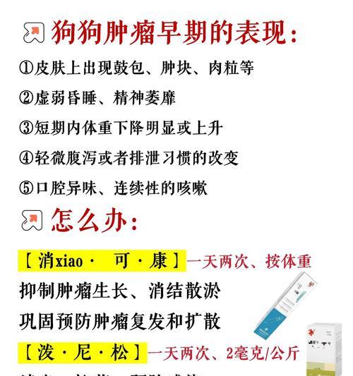 狗狗肿瘤破了该抹什么药|实用指南(图2) 狗狗肿瘤破了该抹什么药|实用指南(图2)