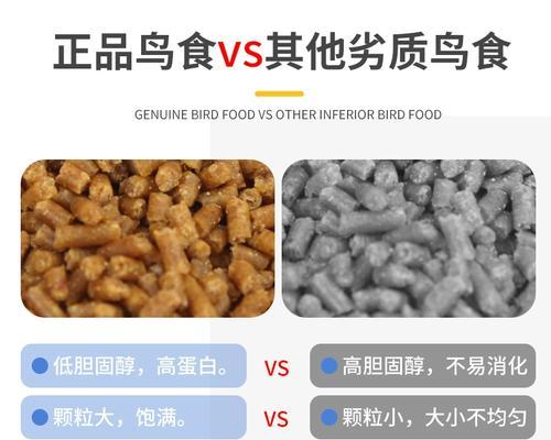 画眉鸟主要食物全攻略｜揭秘其饮食习惯与生态重要性(图3)