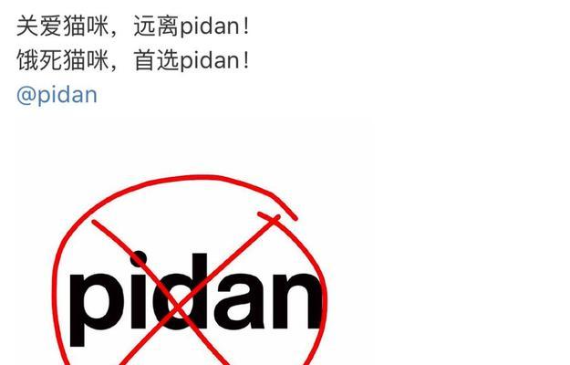 猫咪断粮应急指南|必备物品与应对措施全攻略(图2) 猫咪断粮应急指南|必备物品与应对措施全攻略(图2)