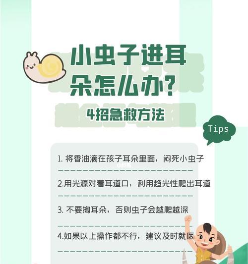 耳朵虫子入侵症状与治疗全攻略|耳道寄生虫应对指南(图3) 耳朵虫子入侵症状与治疗全攻略|耳道寄生虫应对指南(图3)