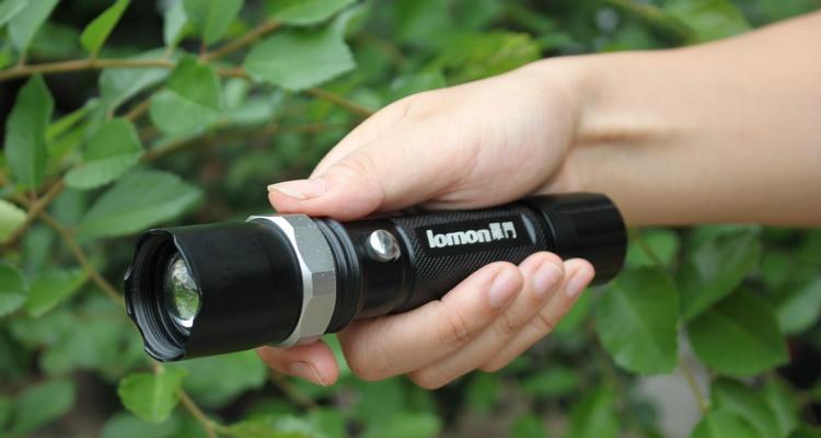 耳朵虫子入侵症状与治疗全攻略｜耳道寄生虫应对指南