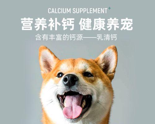 小狗狗补钙吃什么最好｜宝贝犬成长关键营养指南