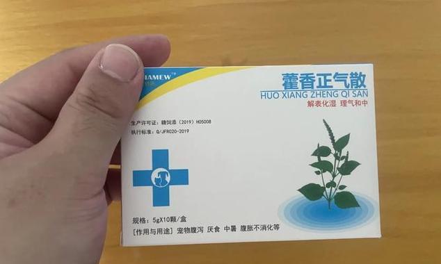 狗需要长期用药的原因及管理指南｜宠物健康核心技巧(图3)