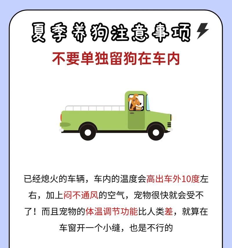 春天养狗注意事项｜科学养护全攻略