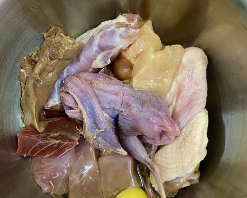 拉布拉多怀孕饮食禁忌全攻略|确保母犬和幼犬健康(图1) 拉布拉多怀孕饮食禁忌全攻略|确保母犬和幼犬健康(图1)