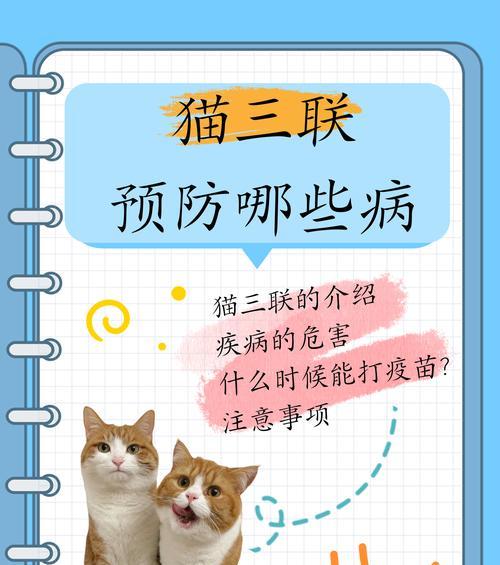小猫拉稀的常见原因与治疗全攻略|宠物健康必备知识(图1) 小猫拉稀的常见原因与治疗全攻略|宠物健康必备知识(图1)