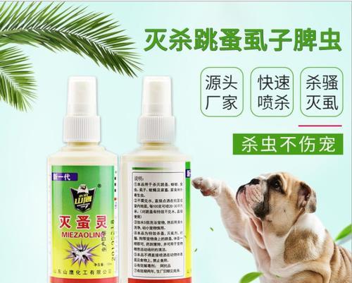 狗狗跳蚤治疗全攻略｜选择合适药物关键步骤(图2)