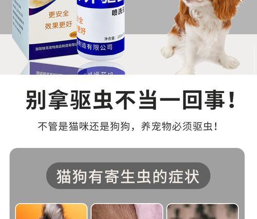 狗狗跳蚤治疗全攻略｜选择合适药物关键步骤