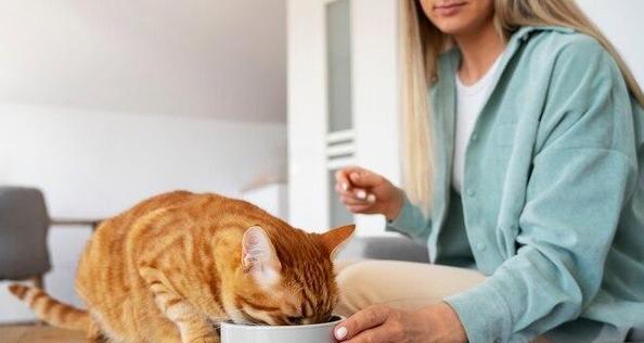 猫咪日常饮食需求全攻略|科学喂养关键要点(图3) 猫咪日常饮食需求全攻略|科学喂养关键要点(图3)