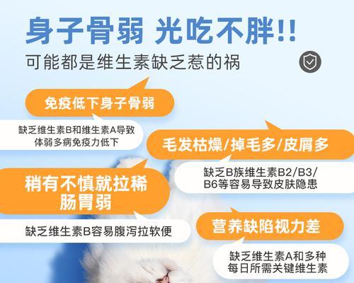 狗狗缺乏维生素如何补充｜实用指南全攻略(图2)