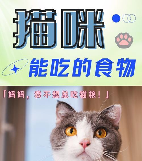 猫咪日常饮食需求全攻略|科学喂养关键要点(图2) 猫咪日常饮食需求全攻略|科学喂养关键要点(图2)