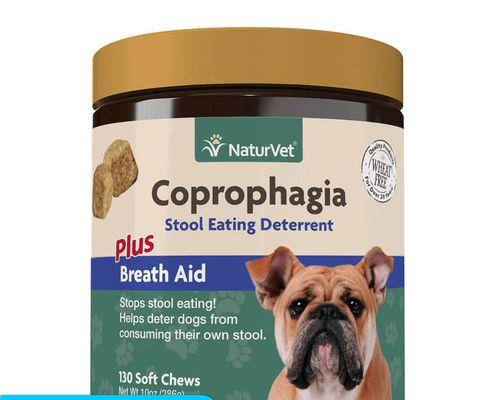 狗狗缺乏维生素如何补充｜实用指南全攻略