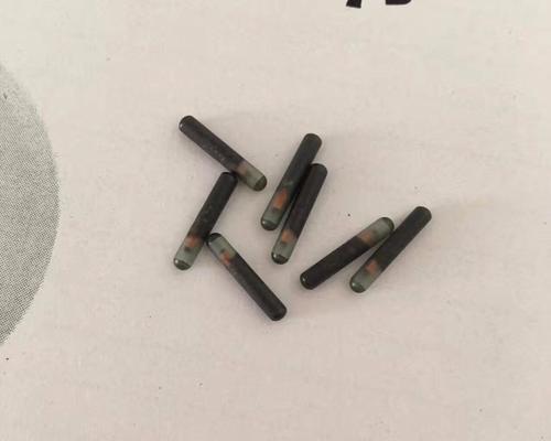 狗晶片实用指南|智能科技为宠物提供安全保障(图3) 狗晶片实用指南|智能科技为宠物提供安全保障(图3)