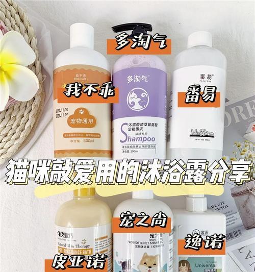 猫皮屑多吃什么食物好｜解决猫皮屑问题的饮食调整全攻略(图3)