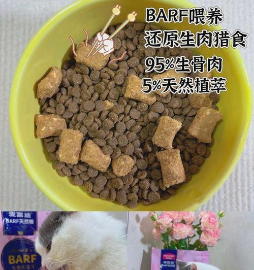 猫皮屑多吃什么食物好｜解决猫皮屑问题的饮食调整全攻略(图1)