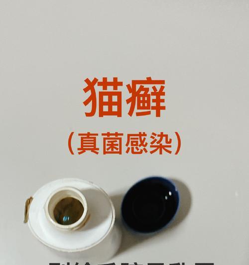 猫头长癣治疗方法与药物选择｜宠物皮肤问题实用指南(图2)