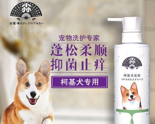 柯基犬洗澡全攻略｜选择合适洗澡水和注意事项