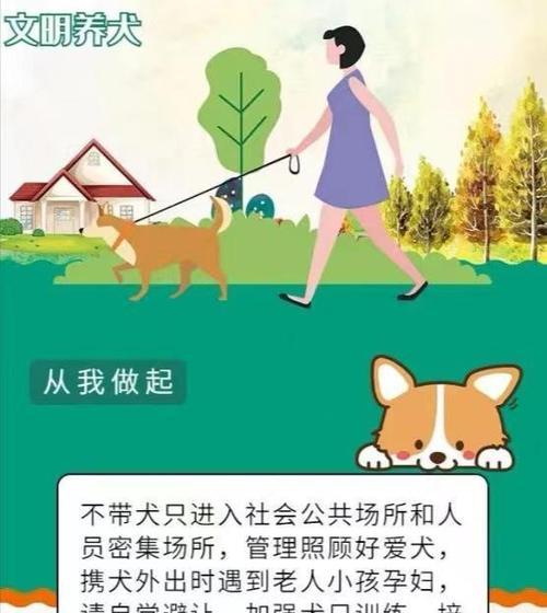 解决狗狗行为问题的实用指南｜训练技巧全攻略(图3)