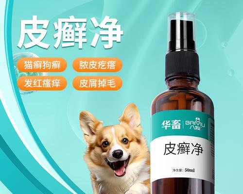 猫头长癣治疗方法与药物选择｜宠物皮肤问题实用指南(图1)