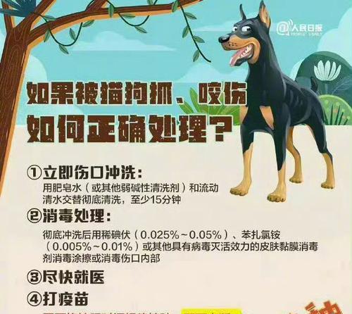 狗传染给人的常见疾病｜健康防护实用指南(图3)
