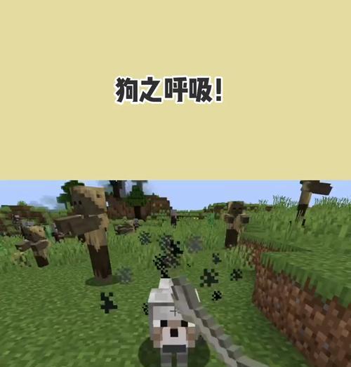 小狗喘气声音的原因｜健康问题全攻略