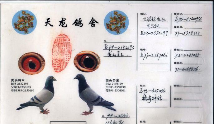 黄金血统的深层含义与珍贵价值|血统研究全攻略(图2) 黄金血统的深层含义与珍贵价值|血统研究全攻略(图2)