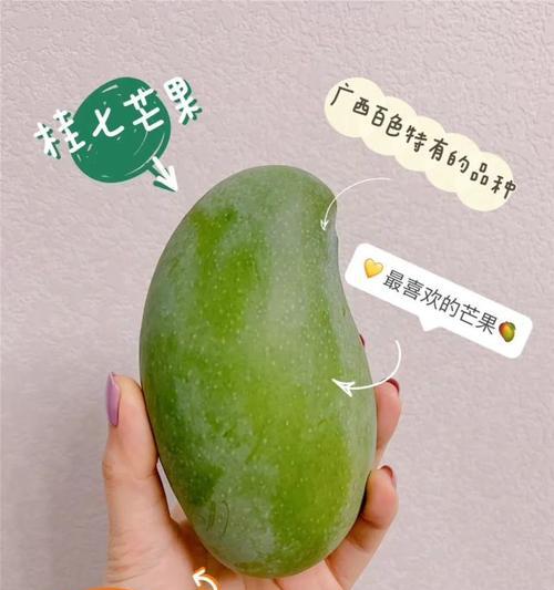 305品种全攻略：特征、应用与种植技巧揭秘(图2)