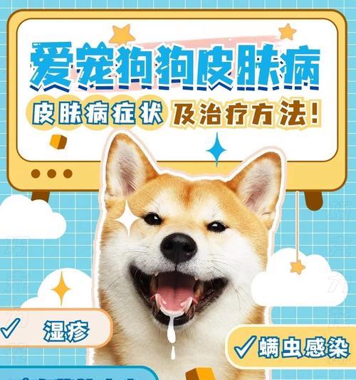 狗狗真菌皮肤病饮食指南｜营养调理缓解皮肤问题(图2)