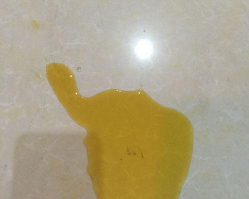 狗狗尿液颜色健康指南｜识别异常信号及时就医(图3)