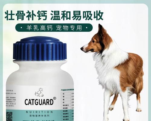 苏牧与喜乐蒂音乐风格对比|探索两位艺术家的独特魅力(图3) 苏牧与喜乐蒂音乐风格对比|探索两位艺术家的独特魅力(图3)