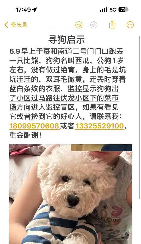 为你的公比熊挑选独特名字的实用指南|宠物命名全攻略(图3) 为你的公比熊挑选独特名字的实用指南|宠物命名全攻略(图3)