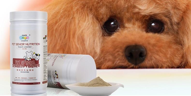 如何为狗狗挑选合适海澡粉｜实用选购指南(图3)