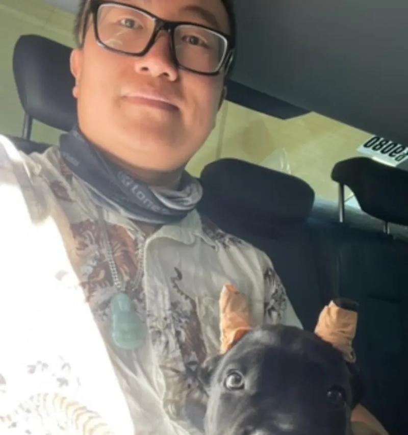 适合与卡斯罗相处的犬种推荐|养犬伴侣全攻略(图2) 适合与卡斯罗相处的犬种推荐|养犬伴侣全攻略(图2)