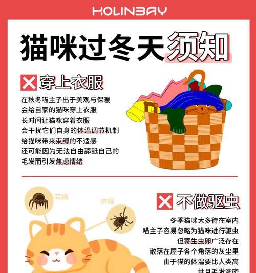 猫的驱虫时机与注意事项|宠物健康养护全攻略(图1) 猫的驱虫时机与注意事项|宠物健康养护全攻略(图1)
