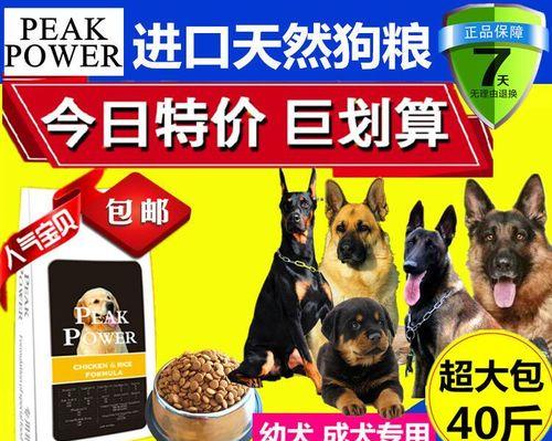 小马犬饮食禁忌全攻略｜切勿喂食的15种危险食物(图3)