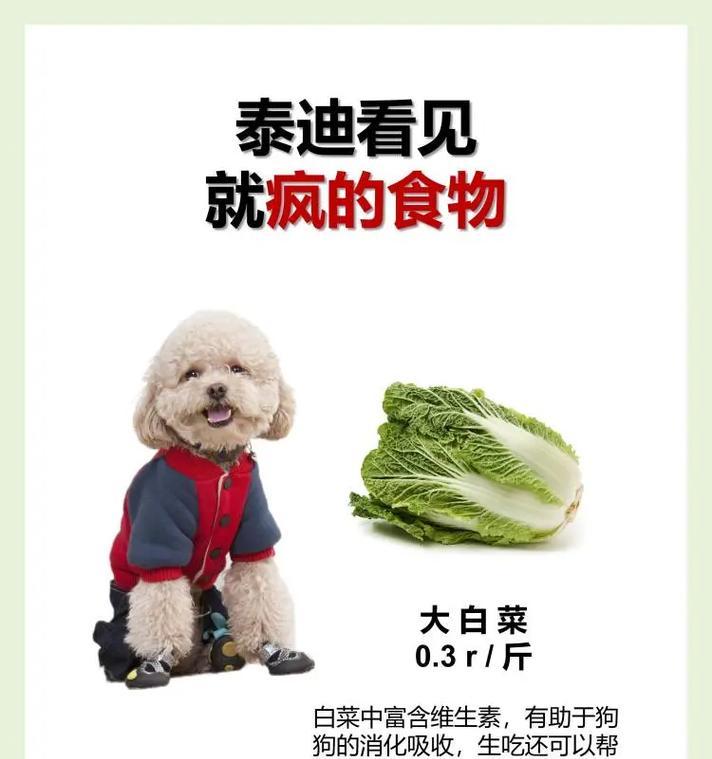 两个月大比熊喂养指南|科学饮食助力健康成长(图2) 两个月大比熊喂养指南|科学饮食助力健康成长(图2)