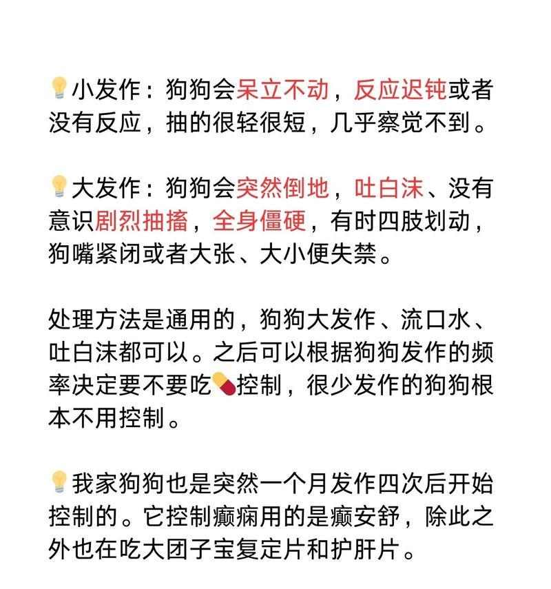小狗频繁呕吐的原因及解决方法|宠物健康全攻略(图2) 小狗频繁呕吐的原因及解决方法|宠物健康全攻略(图2)