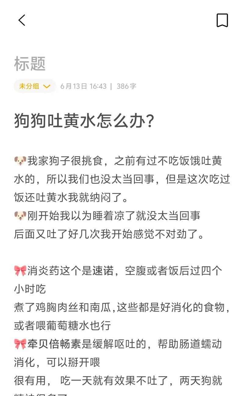 小狗频繁呕吐的原因及解决方法｜宠物健康全攻略