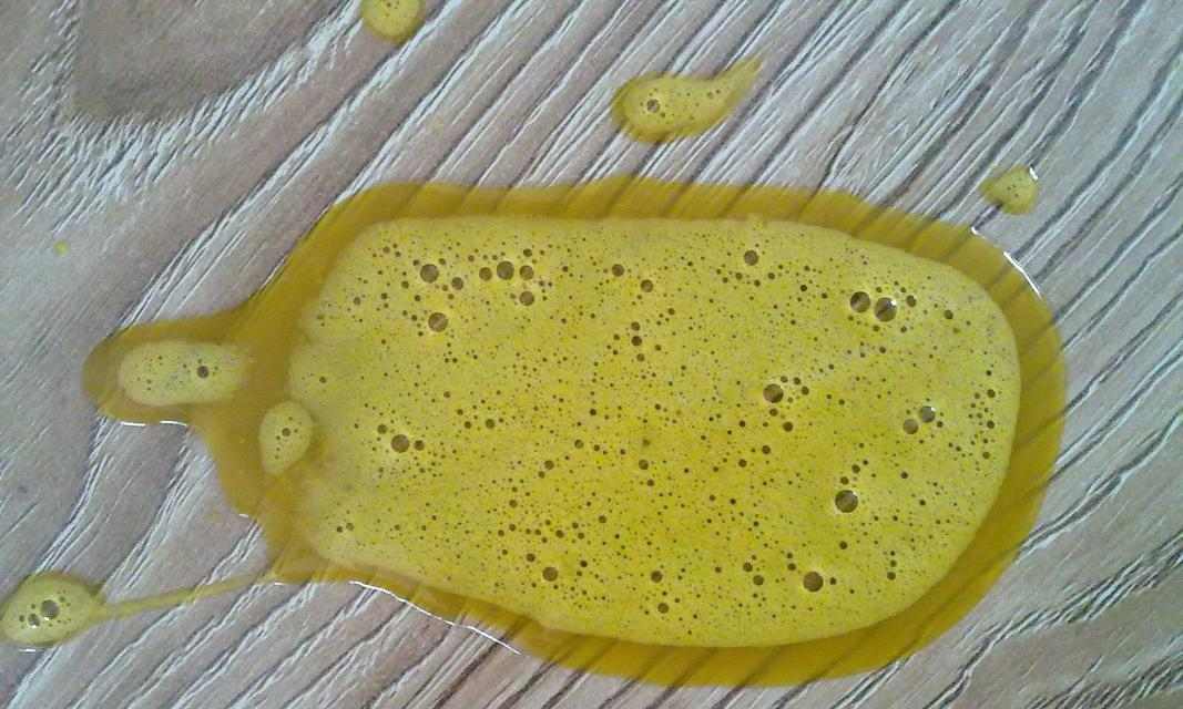 小狗频繁呕吐的原因及解决方法|宠物健康全攻略(图3) 小狗频繁呕吐的原因及解决方法|宠物健康全攻略(图3)