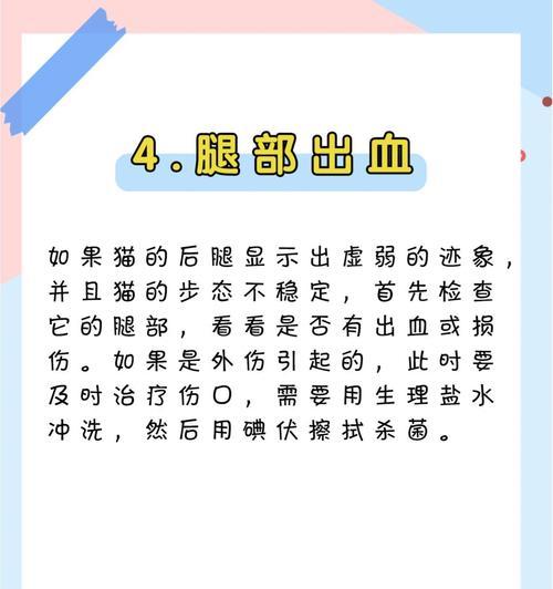 猫咪走路不稳的奥秘｜身体结构与平衡机制全攻略