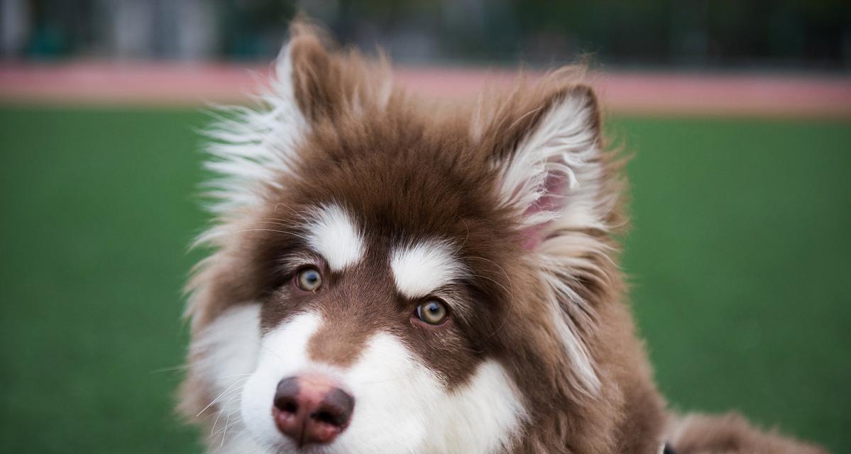 探索阿拉斯加之美｜北国奇观全攻略(图1)