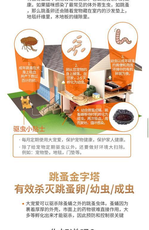 猫驱虫药见效时间全攻略｜正确使用守护宠物健康