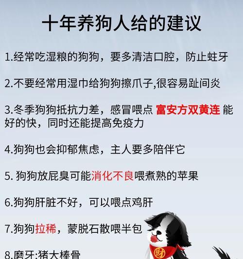 狗狗流鼻涕咳嗽怎么办｜药物治疗实用指南(图2)