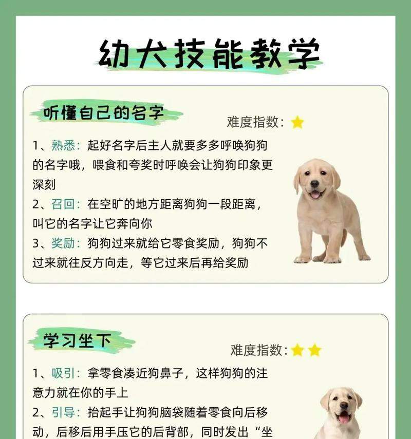 为你的狗取个好名字|实用指南全攻略(图3) 为你的狗取个好名字|实用指南全攻略(图3)