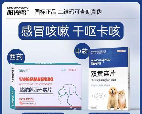 狗狗流鼻涕咳嗽怎么办｜药物治疗实用指南(图3)